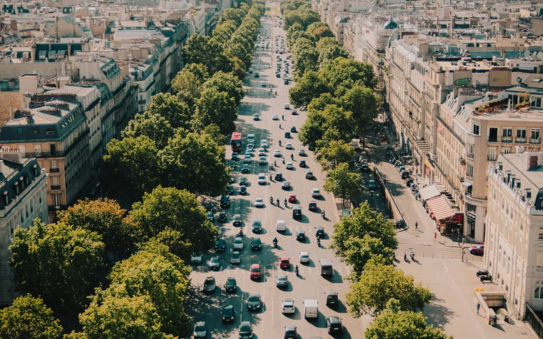 Le retour de la nature en ville
